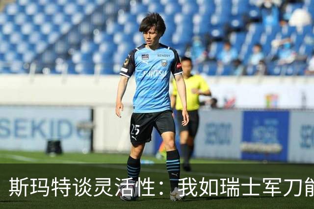 斯玛特谈灵活性：我如瑞士军刀能多面发挥